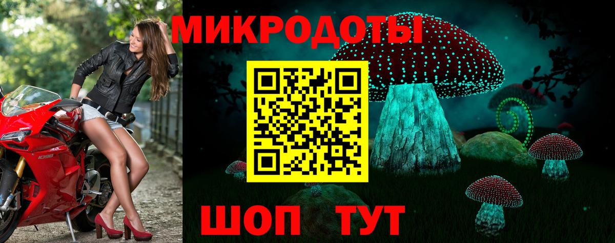 Гагарин  Галлюциногенные грибы MAGIC MUSHROOMS  Вход с VPN 