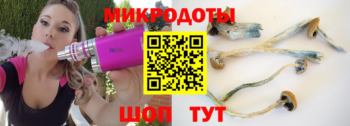 Галлюциногенные грибы Psilocybine cubensis Гагарин